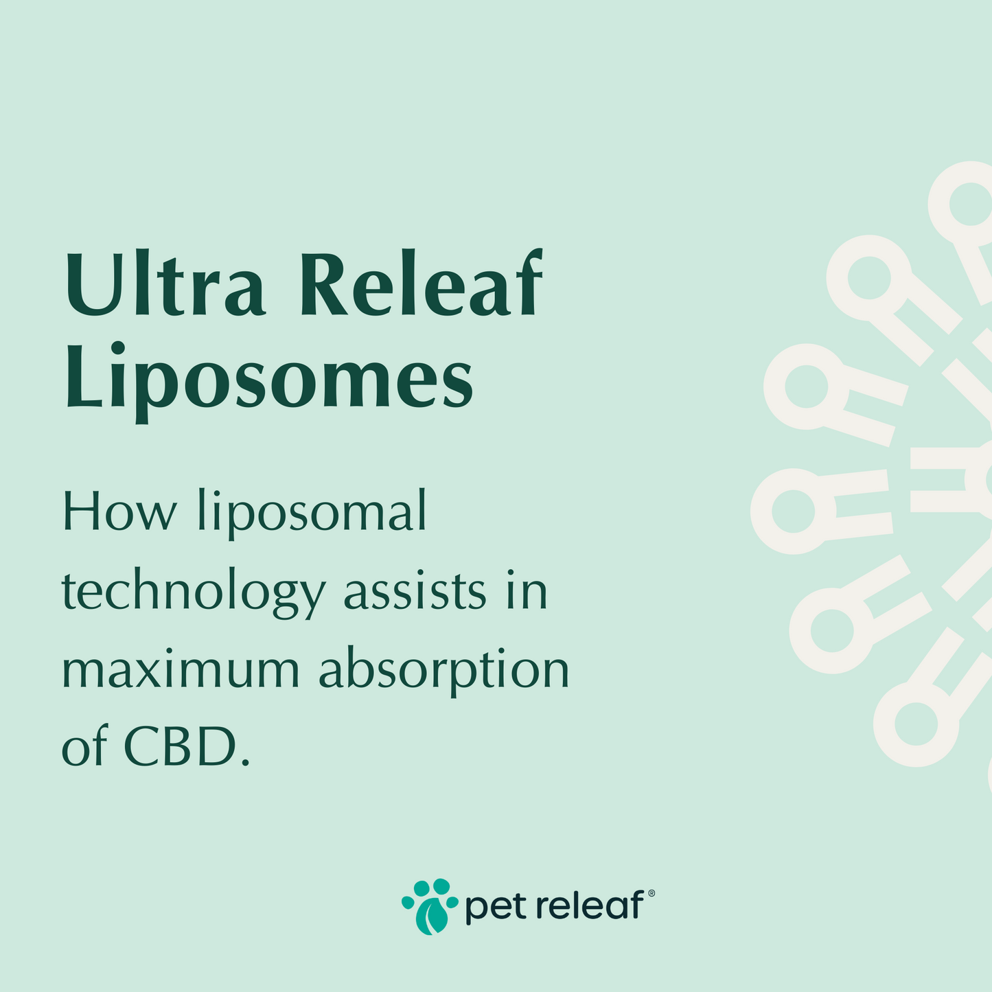 Ultra Releaf 100mg Liposomes CBD Oil For Small Dogs & Cats Liposome CBD Oil