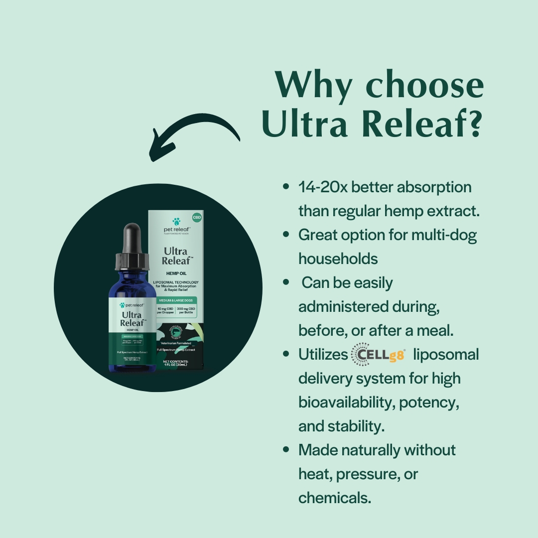 Ultra Releaf 600mg Liposomes CBD Oil For L/XL Dogs Liposome CBD Oil