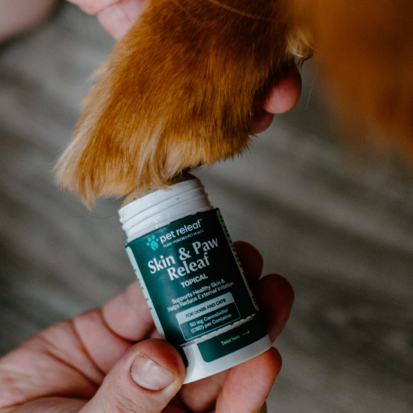 Skin & Paw Releaf Topical CBD For Dogs & Cats CBD Ointment