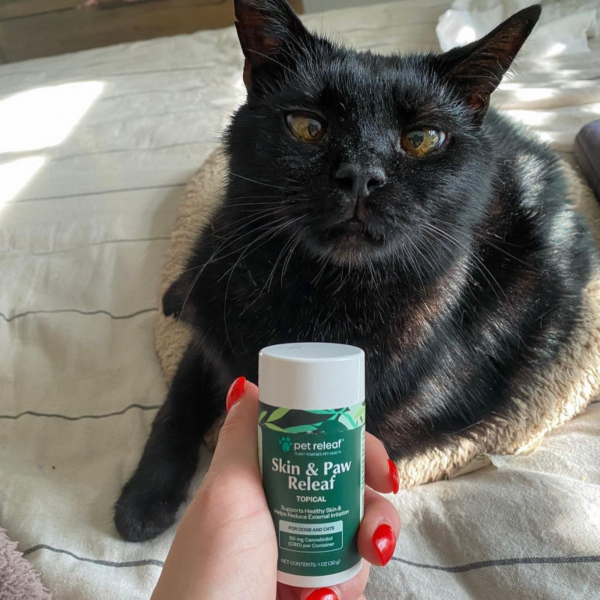 Skin & Paw Releaf Topical CBD For Dogs & Cats CBD Ointment