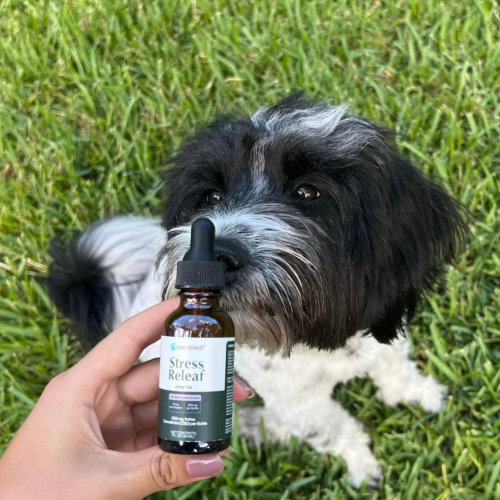 USDA Organic Stress Releaf 300mg CBD Oil For Small Dogs & Cats CBD Oil